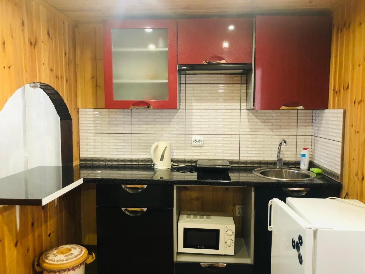 Apartamento У Віти Номер 4 Synevyrsʼka Polyana Exterior foto